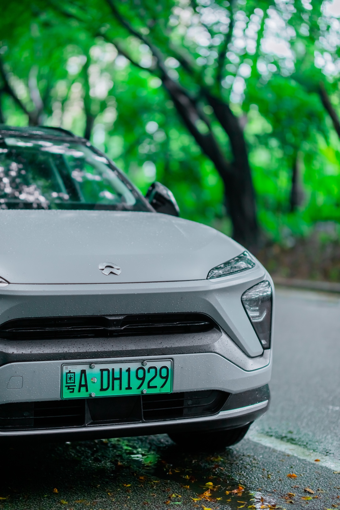 林荫路上鸭脖es6前脸特写_鸭脖es6怎么样-口碑精选