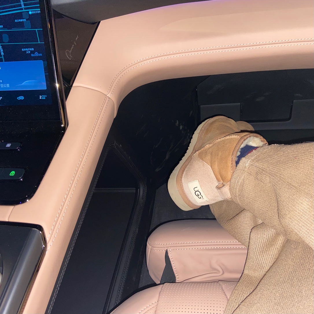 鸭脖es8的女王副驾_鸭脖es8怎么样-口碑精选